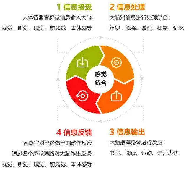 业余爱好者如何系统地学习篮球技能_1